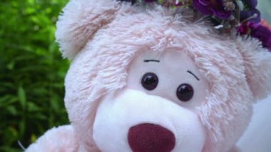 Ayı teddy Park beyaz kumaş üzerine. Oyuncak ayı çimenlerin üzerinde closeup