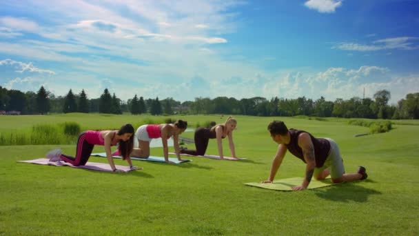 Entrenamiento al aire libre. Grupo de personas haciendo ejercicio de piernas en el soleado parque — Vídeos de Stock