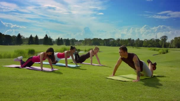 Classe de fitness ao ar livre. Fitness mulheres grupo empurrando com instrutor de fitness — Vídeo de Stock