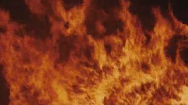 Siyah arka plan üzerine alevler ateş. Arka plan ateş. Yanan ateşi üzerine düşen kar