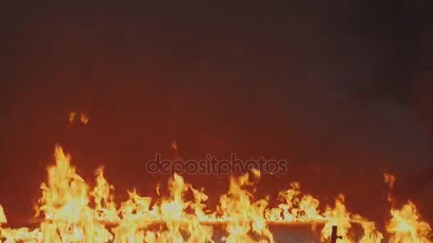 Two doves flying over fire flames. Flying birds on flames fire — Stock Video