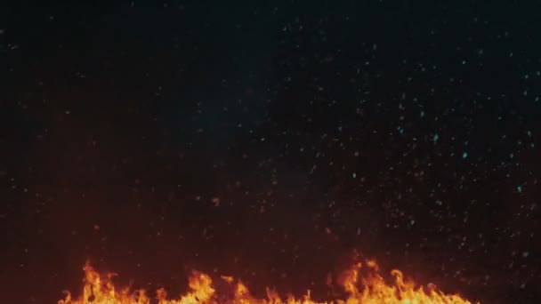 Fond de feu. Fond de flammes. Flocons de neige tombant sur les flammes du feu — Video