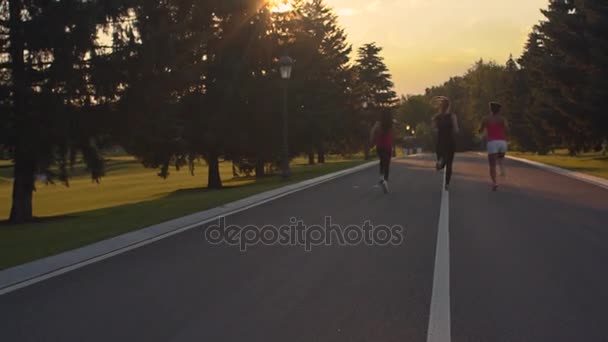 Mujeres de fitness corriendo en Park Road. Grupo de mujeres corriendo al aire libre al atardecer — Vídeos de Stock