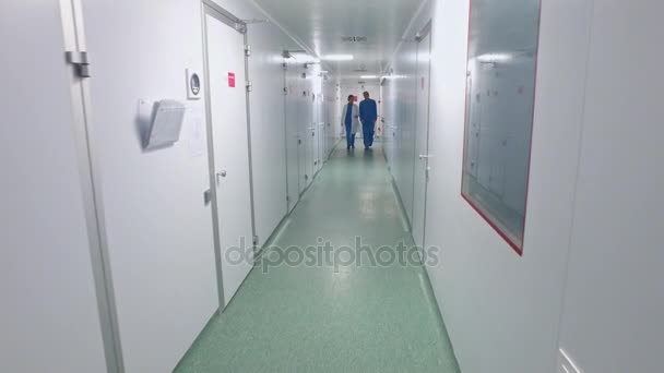 Científicos caminando corredor de laboratorio. Trabajadores farmacéuticos en corredor de laboratorio — Vídeo de stock