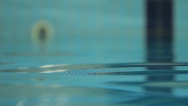 Water surface in swimming pool. Water background — Stock Video