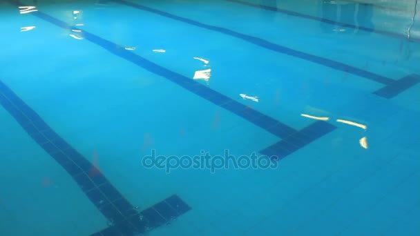 Sendero de natación en la piscina. Olas de superficie de agua en la piscina — Vídeo de stock