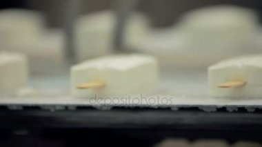 Dondurma üretim hattı. Gıda fabrikası. Dondurma üretim hattında