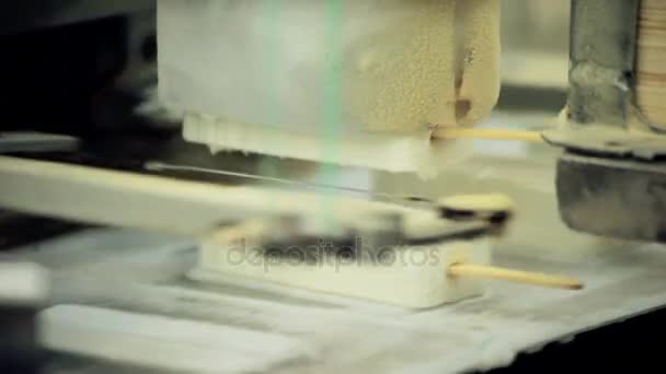 Línea de producción de helados. Línea de fabricación de helados. Línea de producción de alimentos — Vídeo de stock