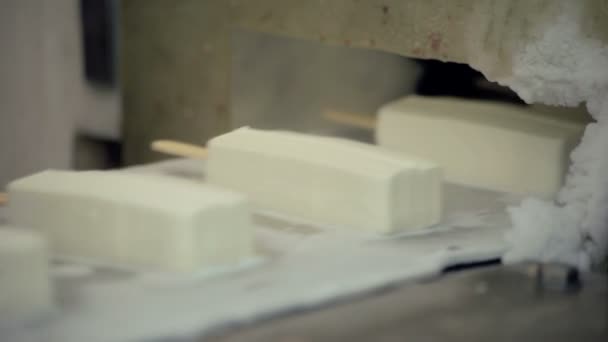 Línea de fabricación de helados en la fábrica de alimentos. Línea de producción de alimentos — Vídeos de Stock