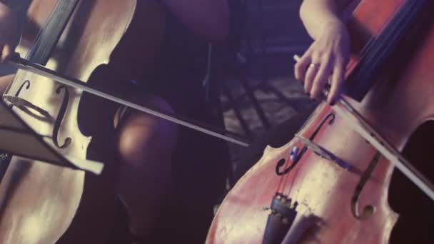 Жінка-віолончелістка грає на віолончелі. Жінка рука грає на віолончелі — стокове відео
