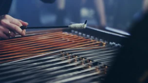 Instrumento de música Cimbalom. Instrumento musical de cordas — Vídeo de Stock