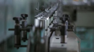 Üretim üretim hattında. Canning fabrika üretim süreci