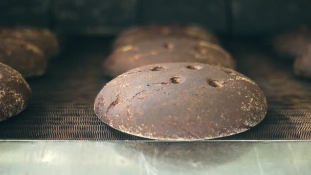 Línea de fabricación de pan. Cinta transportadora de fábrica de pan. Procesamiento de alimentos. Panadería — Vídeos de Stock