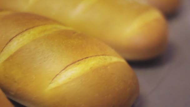 Bakade bröd på produktionslinjen vid fabriken. Färsk vitt bröd bakgrund — Stockvideo