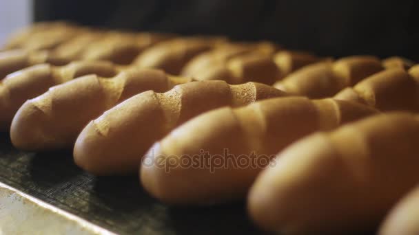 Produtos de padaria. Linha de produção de pão na fábrica de processamento de alimentos. Indústria alimentar — Vídeo de Stock