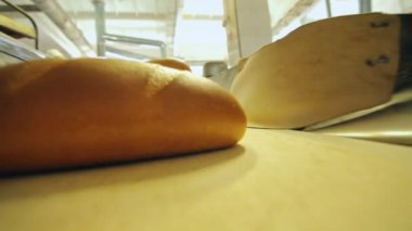 Konveyör bant hazır ekmek. Fırın ekmek üretim süreci