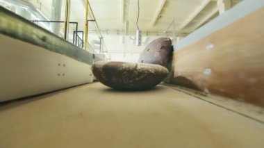 Ekmek fabrikası Konveyör bant ürünlerde. Ekmek üretim hattı