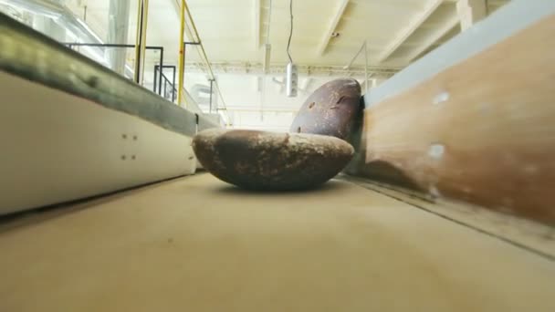 Brödprodukter på fabriken transportband. Bröd produktionslinje — Stockvideo