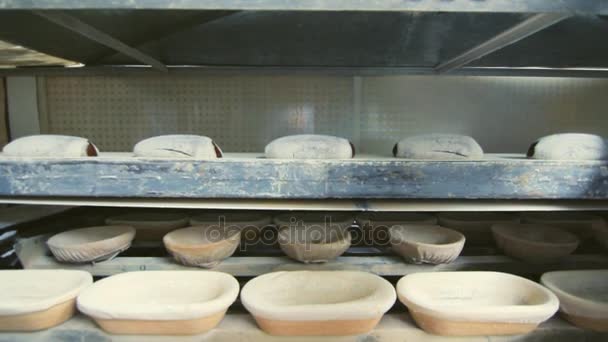 Proceso de producción de panadería en la fábrica de alimentos. Proceso de trabajo en la fábrica de panadería — Vídeos de Stock