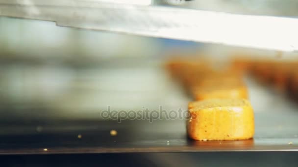 Proceso de producción de panadería. Proceso de fabricación en fábrica de alimentos — Vídeos de Stock