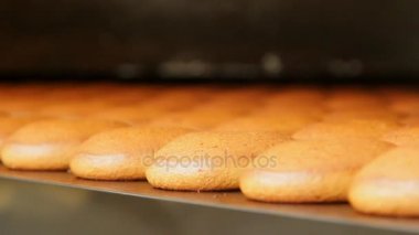 Ekmek. Gıda üretimi. Unlu mamüller gıda ve fabrika. Ekmek üretim