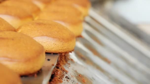 Cookies na linha de produção na fábrica de panificação. Produção de padaria — Vídeo de Stock