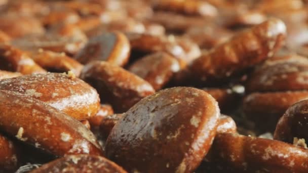 베이커리 쿠키 배경입니다. 생산 라인에서의 달콤한 베이커리 식품 산업 — 비디오
