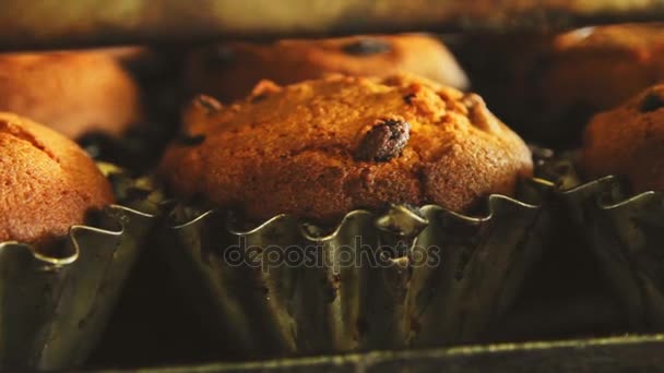 オーブンで甘いカップケーキ。Maffin ベーキング プロセス。ベーカリー食品工場生産 — ストック動画