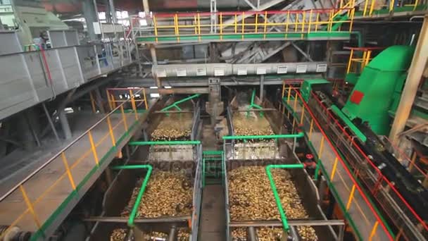 Máquina de fábrica de procesamiento de azúcar. Planta de procesamiento de alimentos. Lavadora — Vídeos de Stock