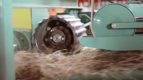 Ίνες λιναριού στο κατασκευής γραμμής. Γραμμή παραγωγής του λίνου στο εργοστάσιο — Αρχείο Βίντεο