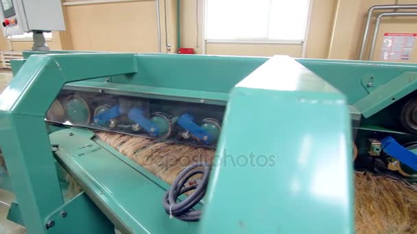 Attrezzature per la lavorazione di fabbrica. Processo di lavorazione della fabbrica di lino. Produzione tessile — Video Stock