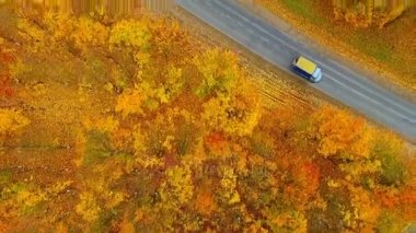 Sonbahar yol araba gökyüzü görünümü. Havadan görünümü ülkede yol sonbahar orman