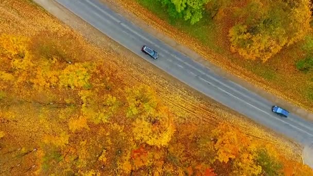 Pohled shora podzimní lesní silnice a auta. Městské budovy a parkovacích dron zobrazení — Stock video