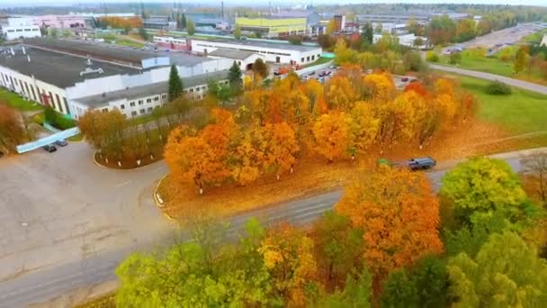 Binalar yol sonbahar manzarası. Sonbahar yola yakın sanayi binalar — Stok video