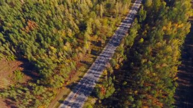 Hava yolu orman. Havadan görünümü boş yol orman peyzaj