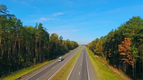 Aerial view cars driving on highway road in forest. Highway forest — Stock Video