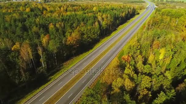 Вид зверху на автомобілі, що рухаються по шосе через ліс. Дорожня дорога — стокове відео