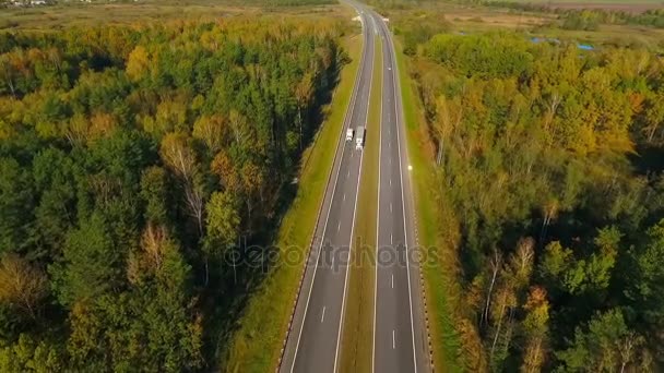 Luchtfoto snelweg weg in boslandschap. Snelweg roa. Van bovenaf bekijken — Stockvideo