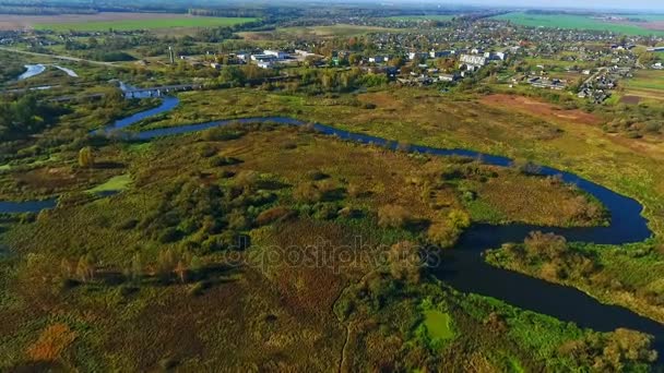 Aerial flodlandskap. Floden i skogen. Visa från ovan. Aerial landskap floden — Stockvideo