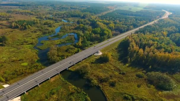 Paesaggio aereo di auto che guidano su strada statale in natura. Strada statale — Video Stock