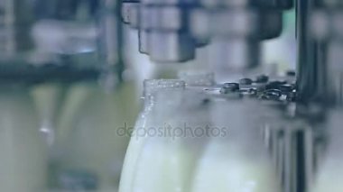 Süt bir plastik şişe içine dökülür. Bir süt fabrikası'nda üretim hattı