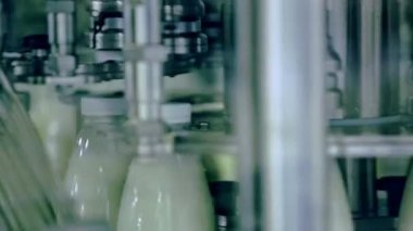 İnek sütü bir Konveyör bant üzerinde plastik şişelerde. Süt endüstrisi. Süt fabrikası