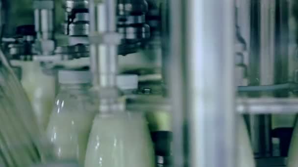 Leche de vaca en botellas de plástico en una cinta transportadora. Industria láctea. Fábrica de leche — Vídeos de Stock