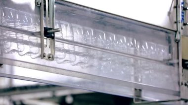Modern bir konveyör plastik şişe. Süt endüstrisi. Gıda Sanayi