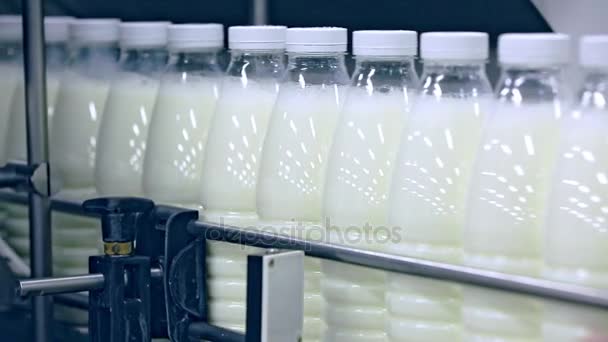 Línea transportadora de fábrica de productos lácteos. Línea de fabricación en planta lechera. Fábrica de leche — Vídeos de Stock