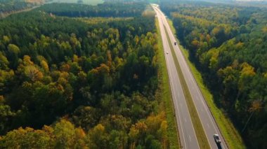 Otoban yol orman manzara içinde. Uçağın shot sonbahar orman, yol asfalt