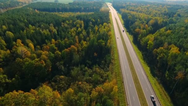 Strada statale nel paesaggio forestale. Drone colpo di strada asfaltata nella foresta autunnale — Video Stock