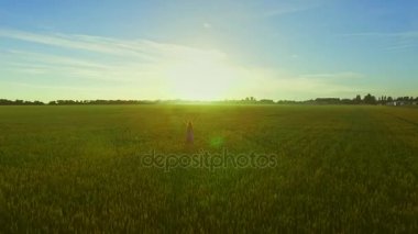 Güzel yeşil buğday alan manzara. Alanı el ile ayakta kadın