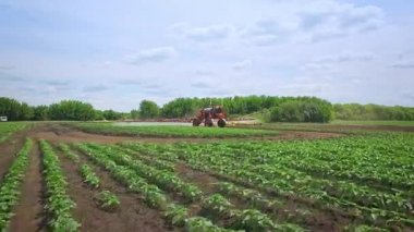 Alan sulama tesisi tarım tarım püskürtücü. Tarım makineleri