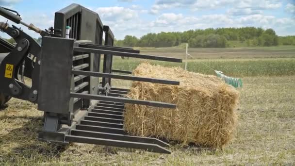 농업 굴 착 기 양동이입니다. 건초를 수확. 농업 기계 — 비디오
